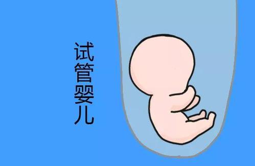 关于试管代怀公司